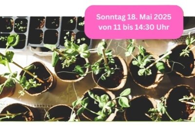 Meldung: Pflanzentauschbörse am 18.05.2025