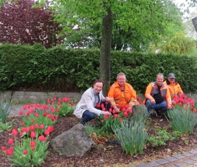 Blumen aus 9.000 Blumenzwiebeln blühen in der Marktgemeinde Zusmarshausen (Bild vergrößern)