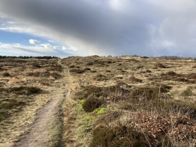 Erlebniswandern in den Binnendünen von Süderlügum (Bild vergrößern)