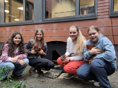 Meldung: Frühjahrsputz im Innenhof