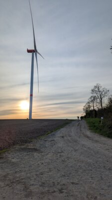 250504_Weiterführende Links zum Thema Naturschutz
