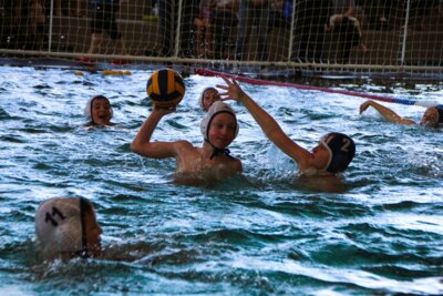 Foto zur Meldung: Wasserfloh-Polo-Cup U10 3. Spieltag