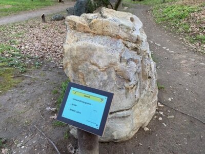 2 Quarzit (Bild vergrößern)