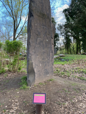 7 Basalt (Bild vergrößern)