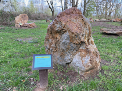 9 Quarzit (Bild vergrößern)