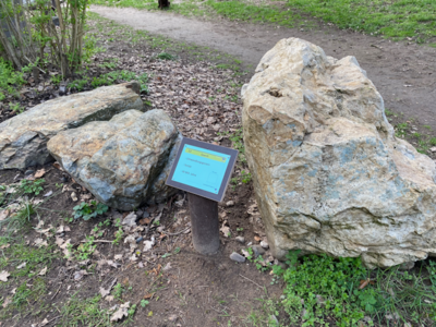 13 Quarzit (Bild vergrößern)