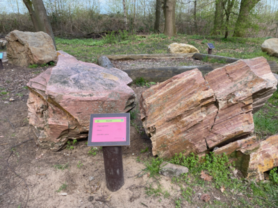 19 Rhyolith (Bild vergrößern)