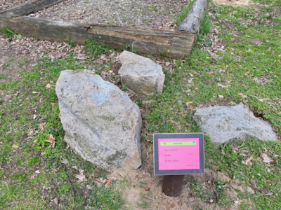 20 Phonolith (Bild vergrößern)