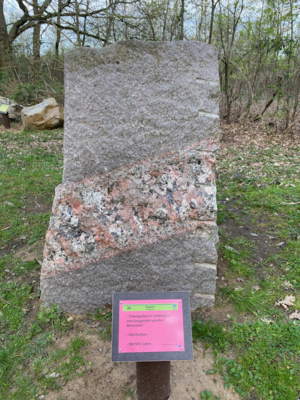 30 Granit mit Pegmatit (Bild vergrößern)