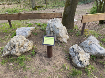 47 Kalkstein (Bild vergrößern)