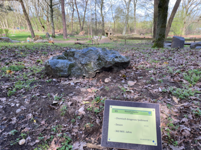 65 Kieselschiefer (Bild vergrößern)