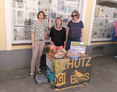 Foto zur Meldung: BINS Stand beim Flohmarkt in Meldorf