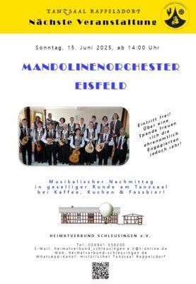 Meldung: Mandonlinenorchester Eisfeld
