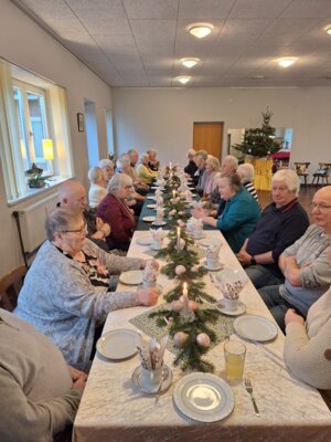 Goldelunder Weihnachtsfeier 60+