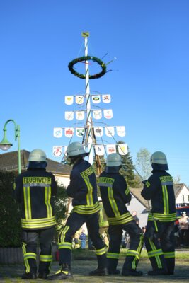 Meldung: 24. Maibaumsetzen in Köthensdorf