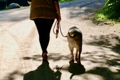 Trigger - die Hundebegegnung als Chance