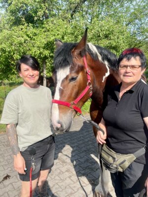 Willkommen, Miloš! Unser PferdeGut hat ein neues Familienmitglied (Bild vergrößern)