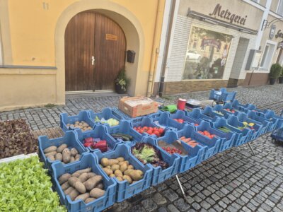 Wochenmarkt- regionale, frische Gemüse, Blumen, Pflanzen ...