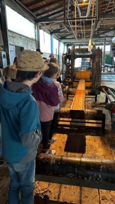 Ausflug ins Sägewerk Räntzsch (Bild vergrößern)