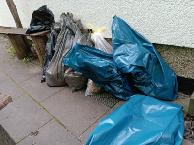 Kleine Hände, große Wirkung:  Kita-Kinder sammeln 18 kg Müll anlässlich des „Sauberhaften Kindertages“ (Bild vergrößern)