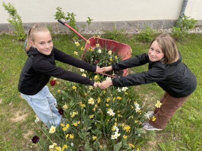 Blumige Überraschung (Bild vergrößern)