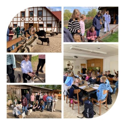 Meldung: Tierparkbesuch Kl.5