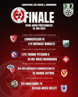 Meldung: „Zwei Teams, ein Ziel“ – Stimmen der Trainer:innen vor dem Landespokalfinale