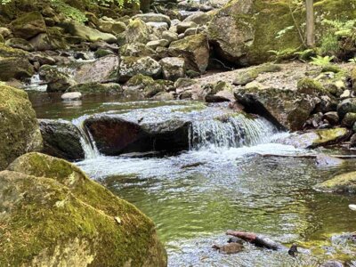 An der Ilse (Bild vergrößern)