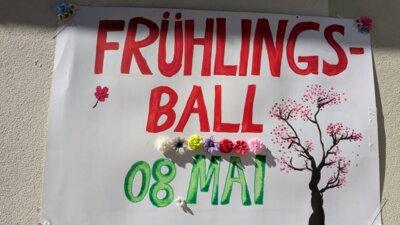 Meldung: Frühlingsball 2025