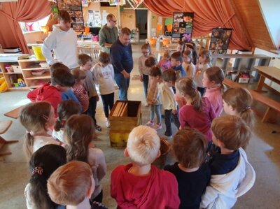 Bienenworkshop