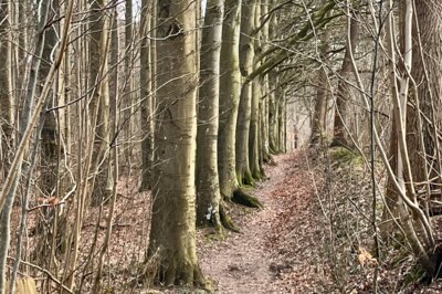 Seelenweg