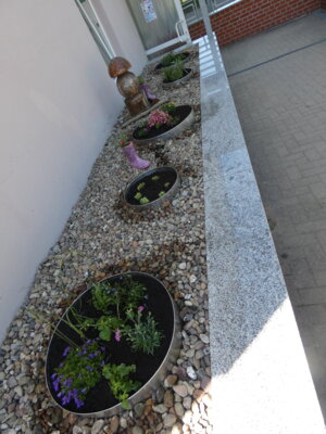 Bild der Blumenbepflanzung
