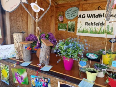 Foto: Der Stand der AG Wildblume beim Maifest