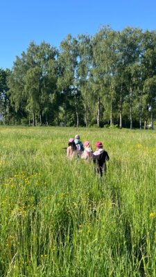 Ein bunter Ausflug auf die Wiese – Die ersten Klassen entdecken die Natur (Bild vergrößern)