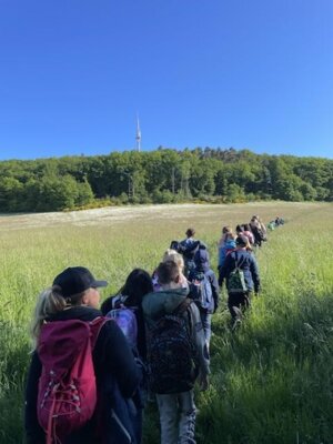 Waldwandertag der 3c (Bild vergrößern)