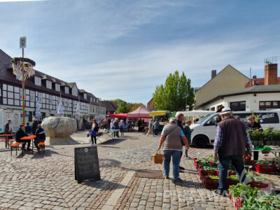 Der PriMa-Treff Schlemmermarkt hatte jede Menge Leckereien zu bieten. Foto: Stadt Pritzwalk (Bild vergrößern)