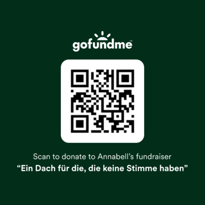 Spendenaufruf (Bild vergrößern)