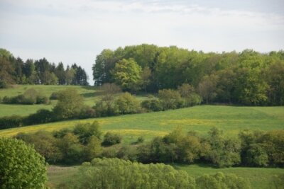 Meldung: Projektstart: „Kooperativ zum Biotopverbund im Göttinger Offenland“