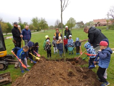 Baum des Jahres 2025