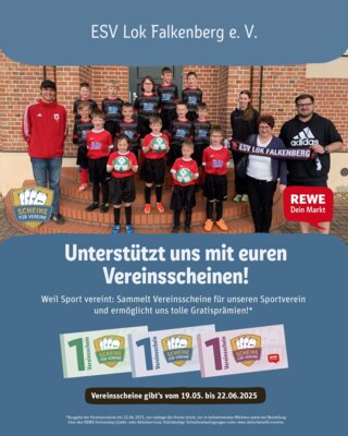 Bambinis und F-Junioren