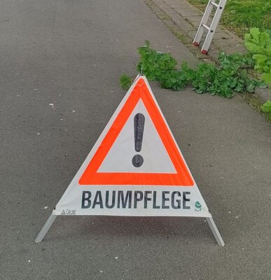 Baumpflege, ein ständiges "ToDo"