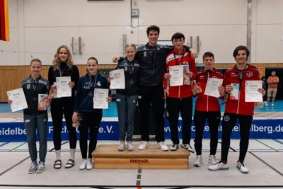 Bronze in Heidelberg (Bild vergrößern)