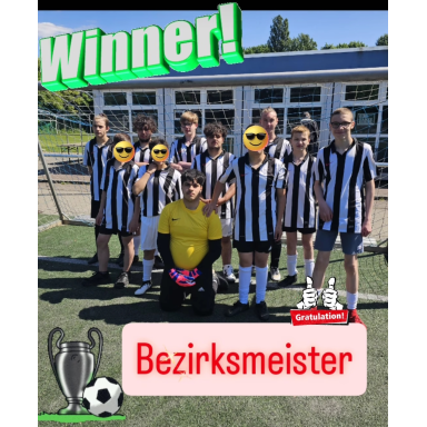 Meldung: Bezirksmeister Fußball