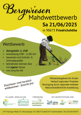 Plakat Mahdwettbewerb (Bild vergrößern)
