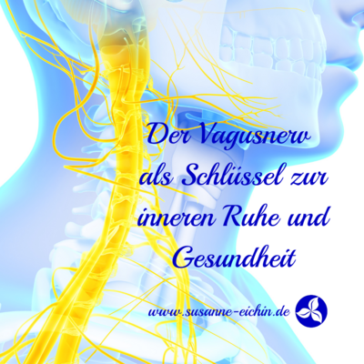 Foto: Der Vagusnerv als Schlüssel zur inneren Ruhe und Gesundheit Foto zur Meldung: Der Vagusnerv als Schlüssel zu innerer Ruhe und Gesundheit