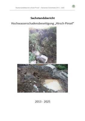 Sachstandsbericht "Hirsch-Pinsel" (Bild vergrößern)