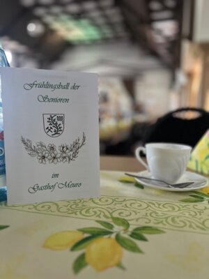 Rückblick auf den Frühlingsball der Senioren 2025