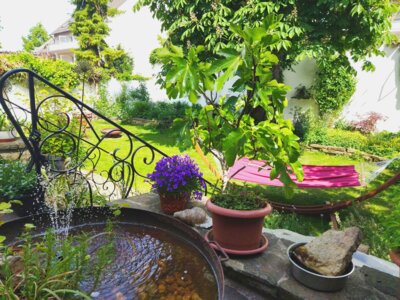 Sangha Tag und Zen Tag im Juli