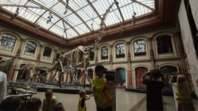 Kinder im Naturkundemuseum