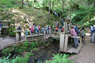 Meldung: Wanderung Himmelssteig in Bad Peterstal
